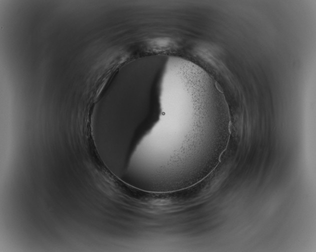 X0000088230653200705221825