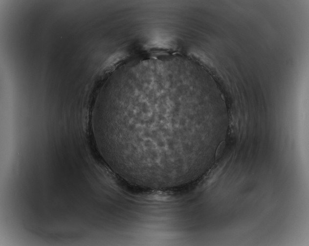 X0000088230656200705221825