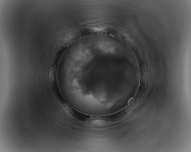 X0000088230658200705221825