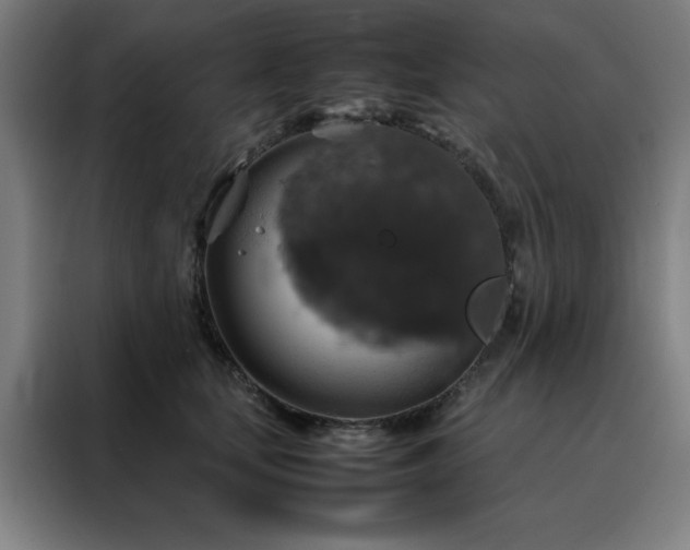 X0000088230659200705221825