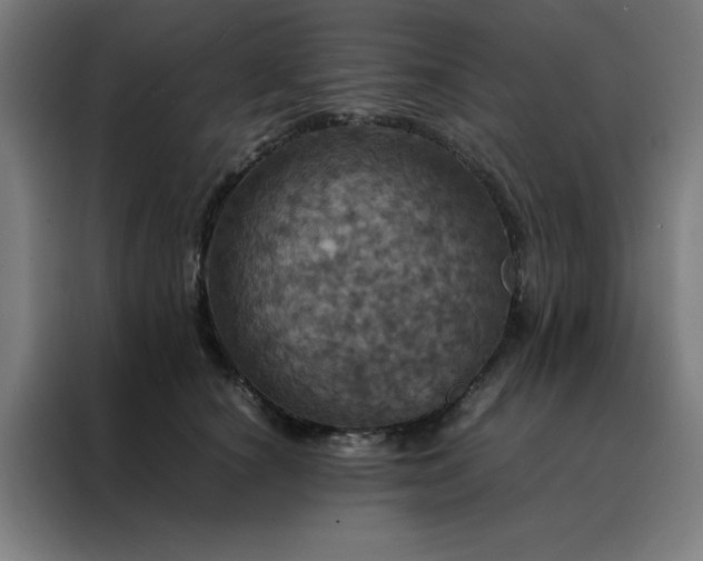 X0000088230660200705221825