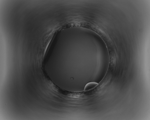 X0000088230661200705221825