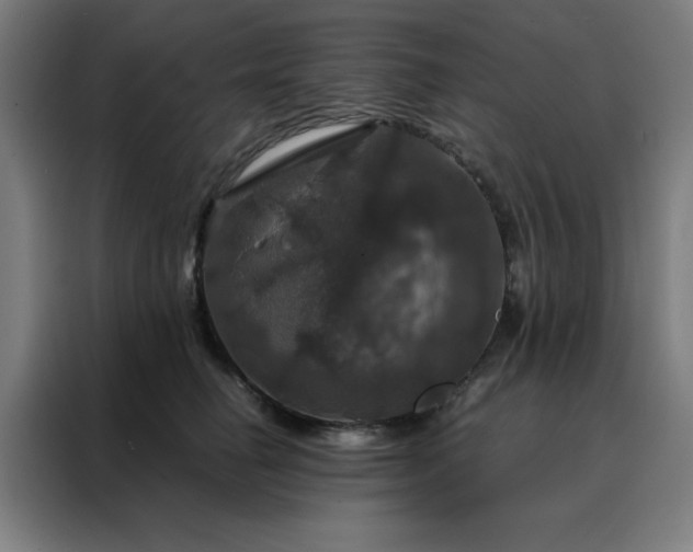 X0000088230662200705221825