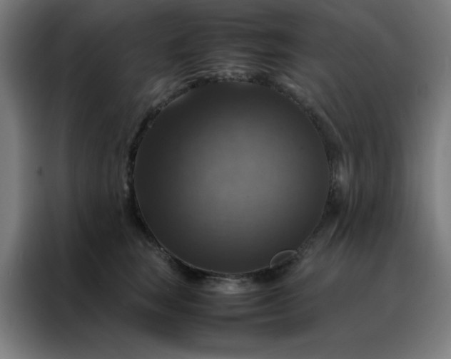 X0000088230663200705221825