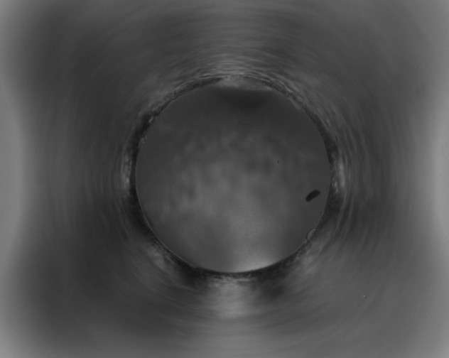 X0000088230664200705221825