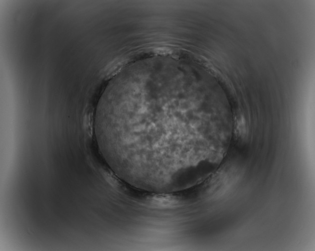 X0000088230666200705221825