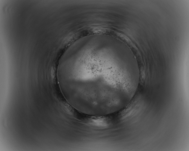 X0000088230667200705221825