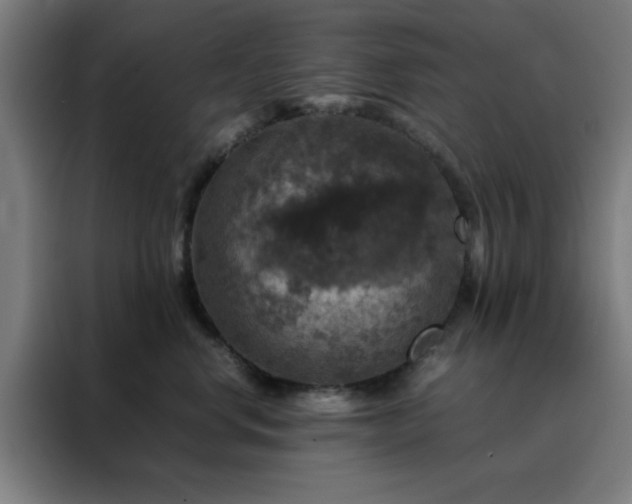 X0000088230668200705221825
