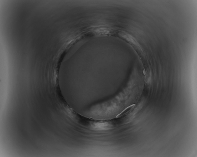 X0000088230669200705221825