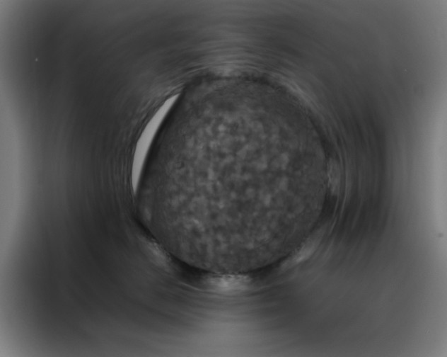X0000088230670200705221825