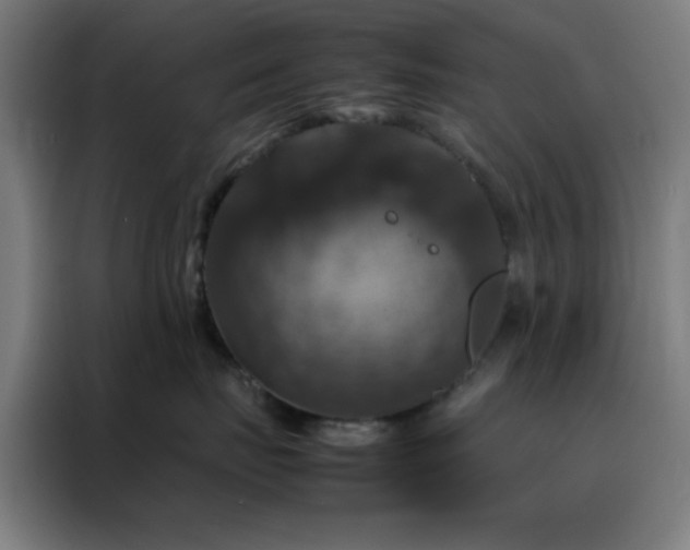 X0000088230671200705221825