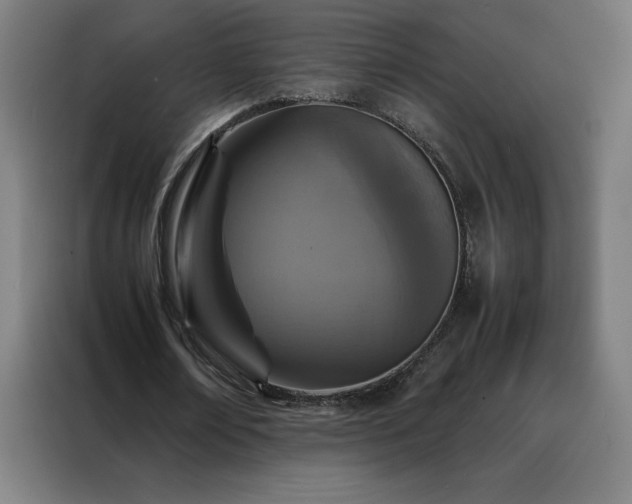 X0000088230674200705221825