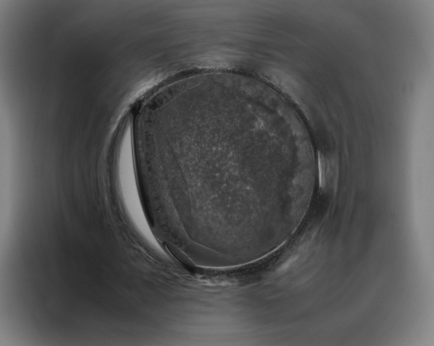 X0000088230675200705221825