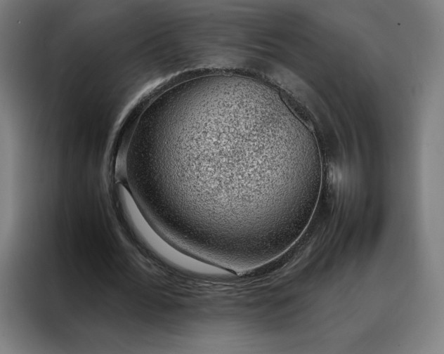 X0000088230676200705221825