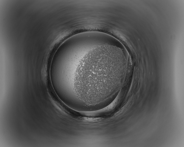 X0000088230677200705221825