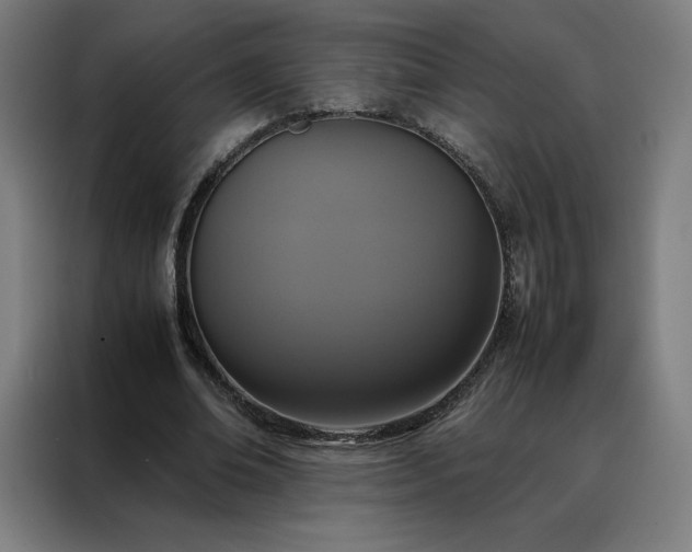X0000088230678200705221825