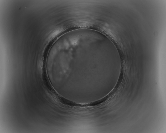 X0000088230679200705221825