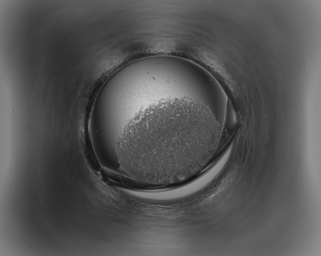 X0000088230681200705221825