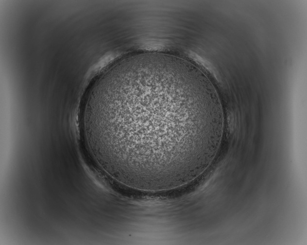 X0000088230682200705221825