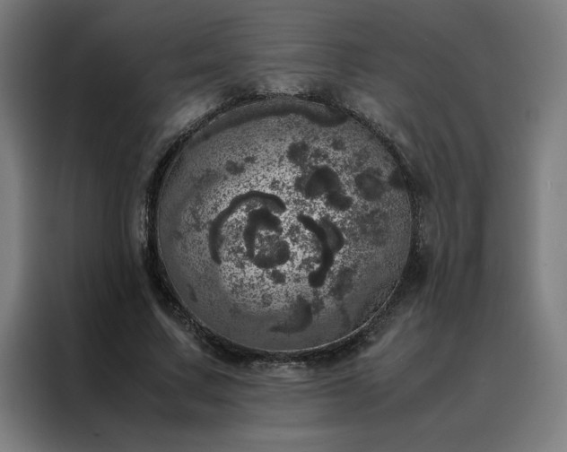 X0000088230683200705221825