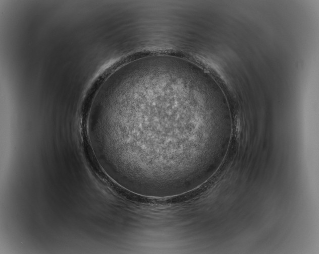 X0000088230684200705221825