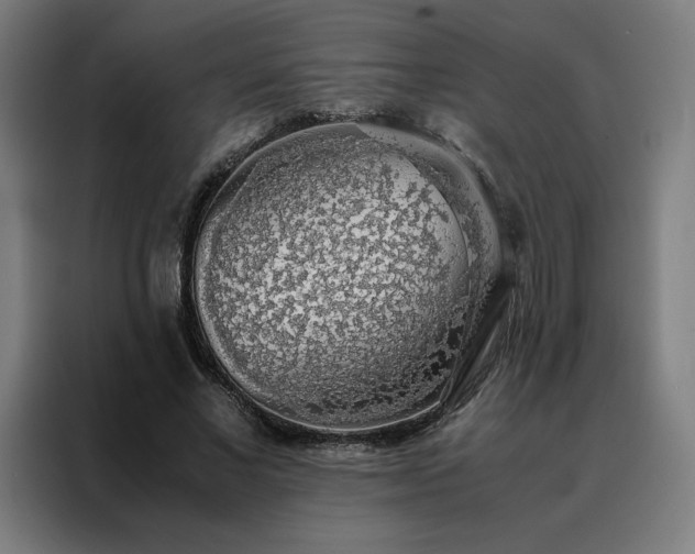 X0000088230685200705221825