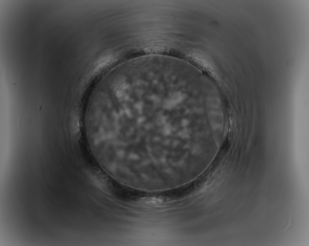 X0000088230687200705221825