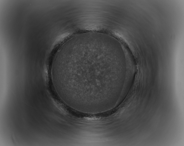 X0000088230688200705221825