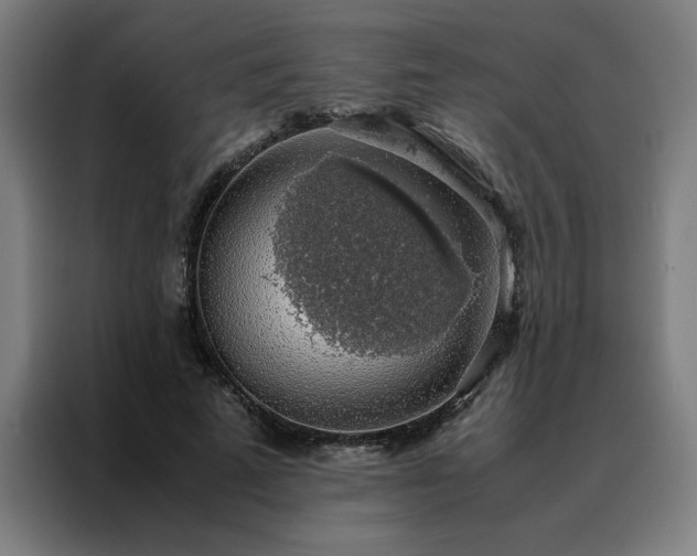 X0000088230689200705221825