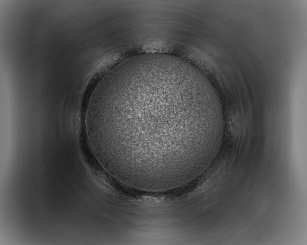 X0000088230690200705221825
