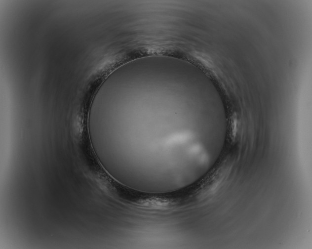 X0000088230691200705221825