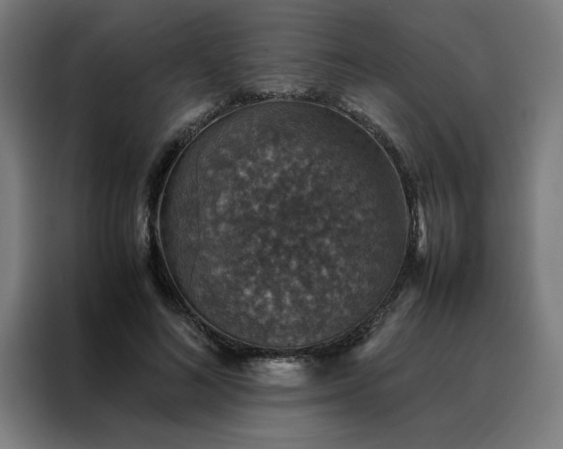 X0000088230692200705221825
