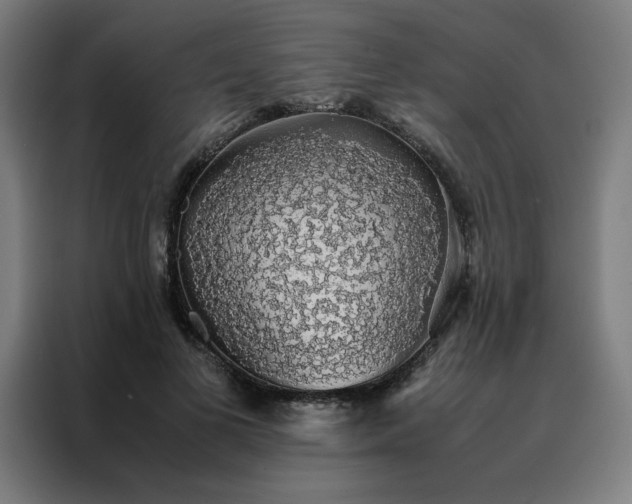 X0000088230693200705221825