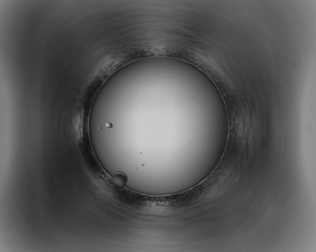 X0000088230694200705221825
