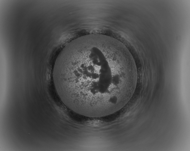 X0000088230695200705221825