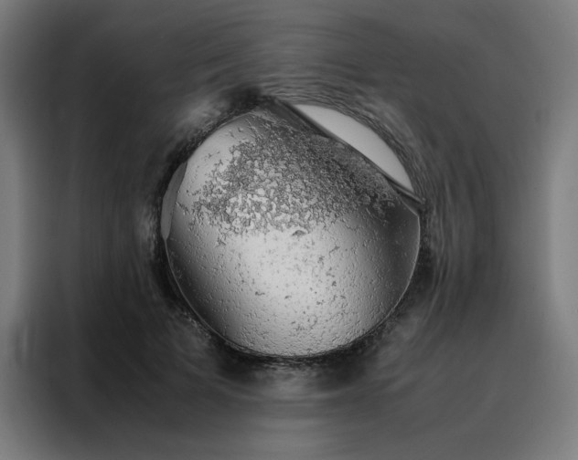 X0000088230697200705221824