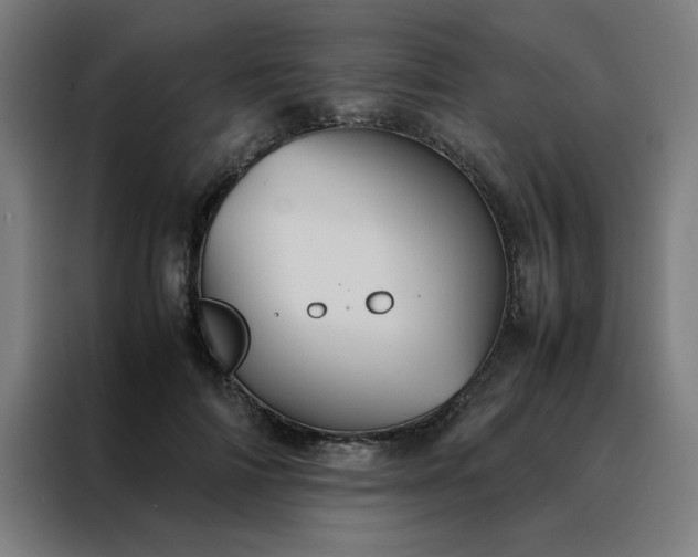 X0000088230698200705221824