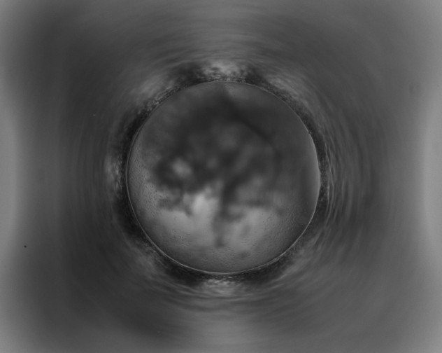 X0000088230699200705221824