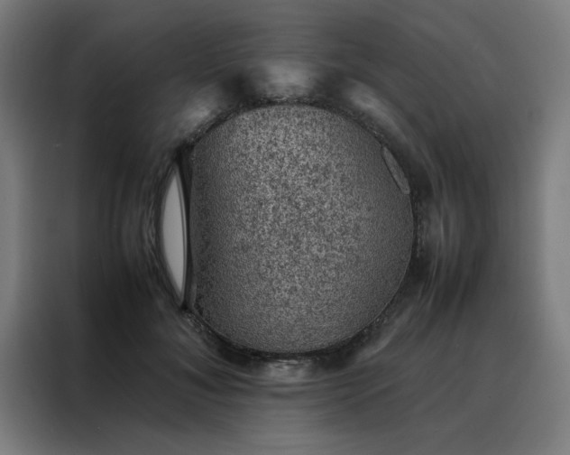 X0000088230700200705221824