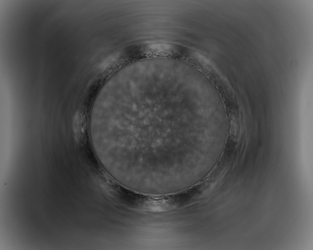 X0000088230701200705221824