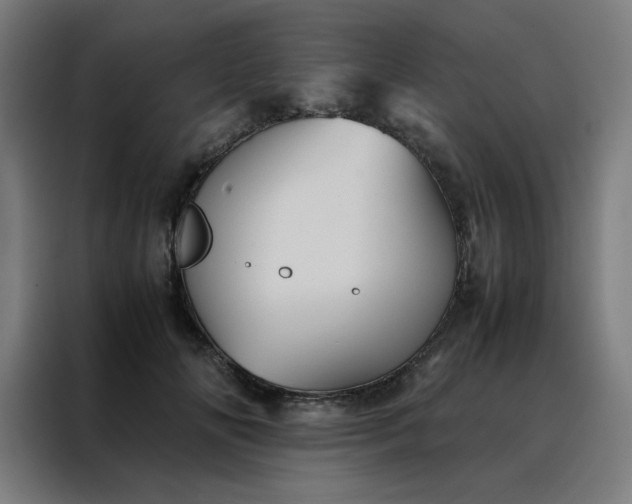 X0000088230702200705221824