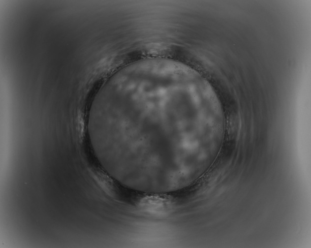 X0000088230703200705221824