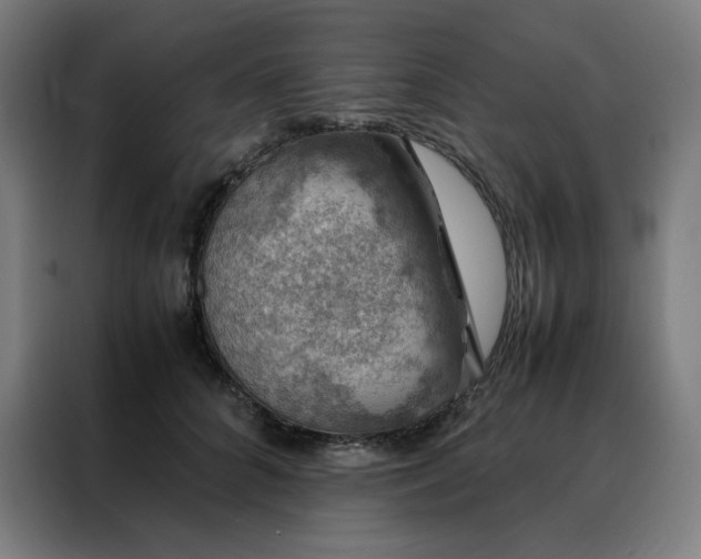 X0000088230704200705221824