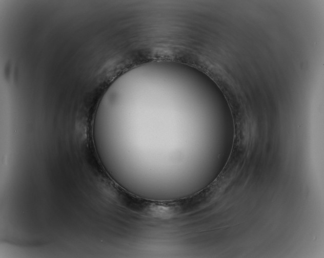 X0000088230706200705221824