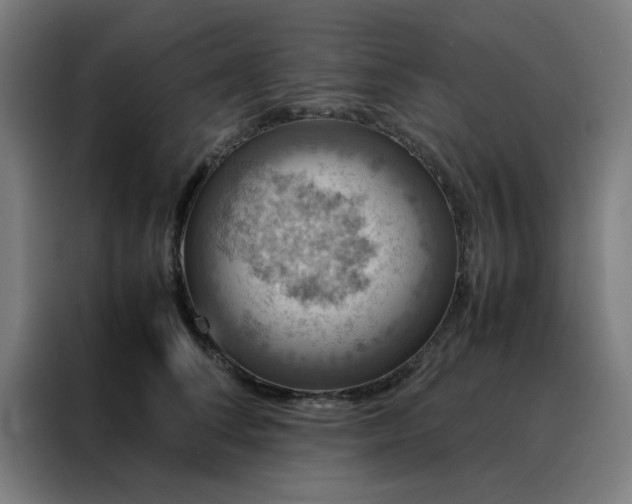 X0000088230708200705221824