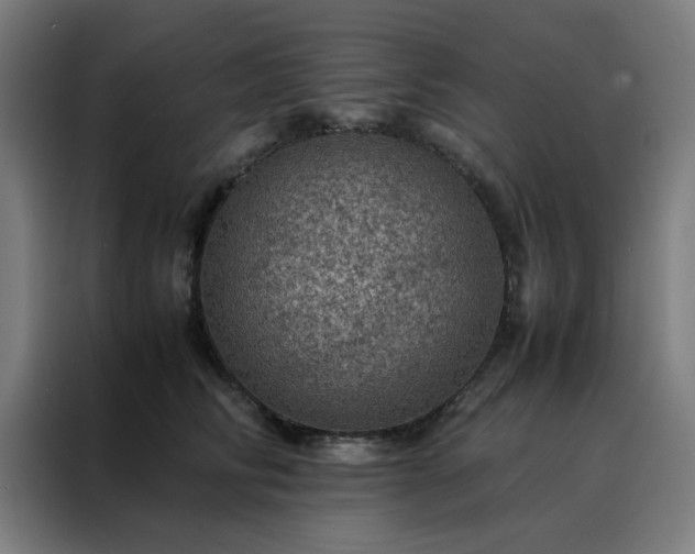 X0000088230710200705221824
