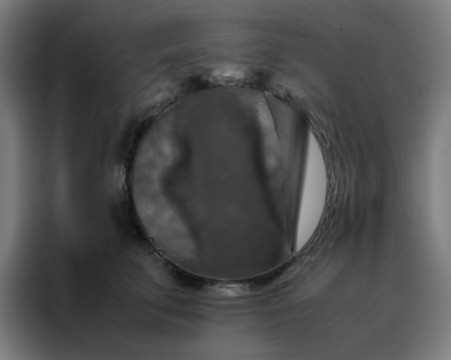 X0000088230711200705221824