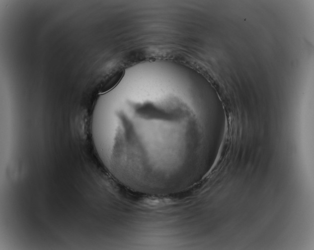 X0000088230712200705221824