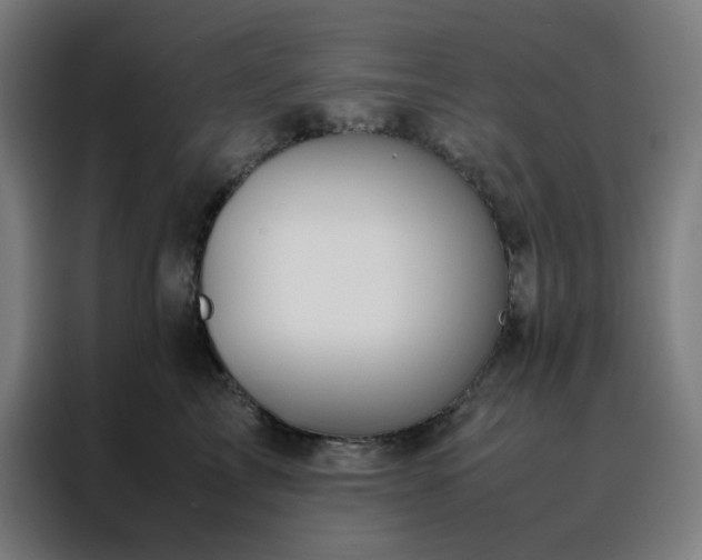 X0000088230713200705221824
