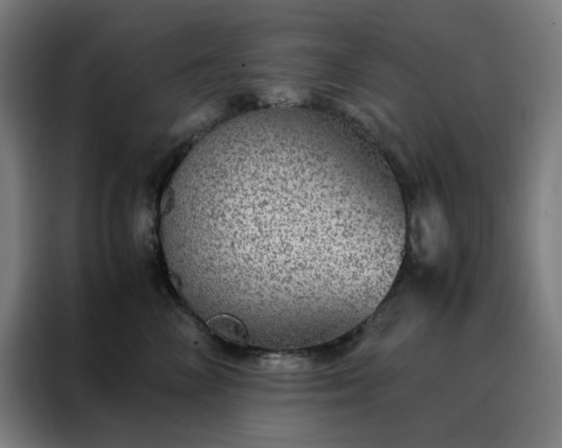 X0000088230714200705221824